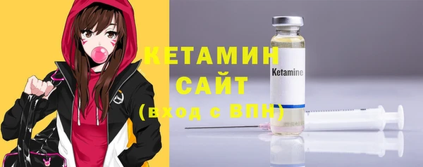 шишки Инта