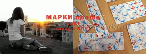 прущие крисы Зеленокумск